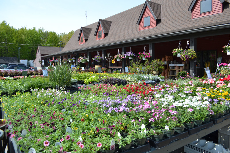 DSC_0389 - The Rock Pile Garden Center