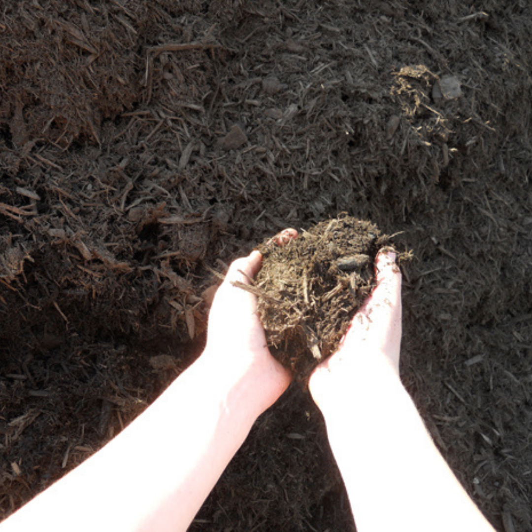 Mulch A Primer The Rock Pile Garden Center