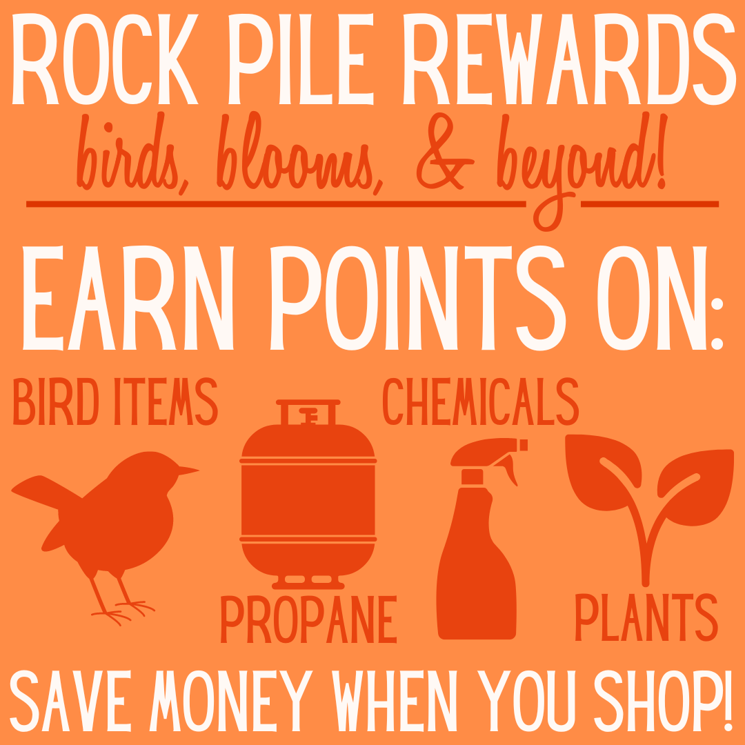 Rock Pile Rewards - Birds, Bloom, & Beyond - The Rock Pile Garden Center